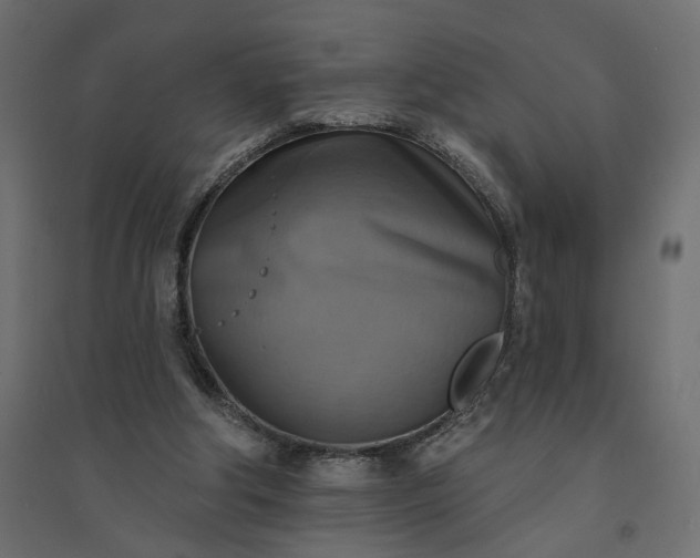X0000094420202200711211418