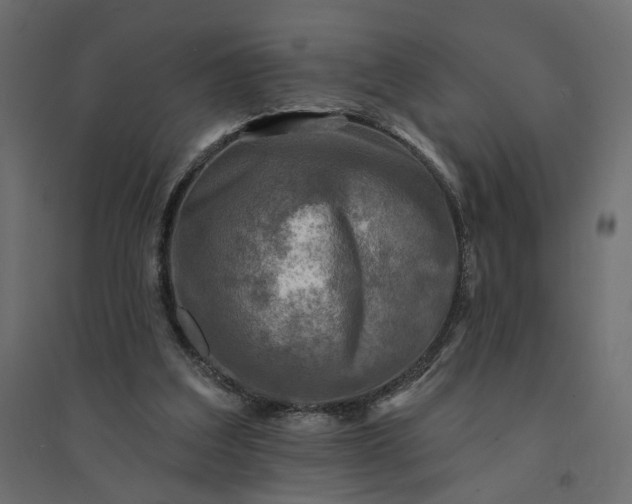 X0000094420203200711211418