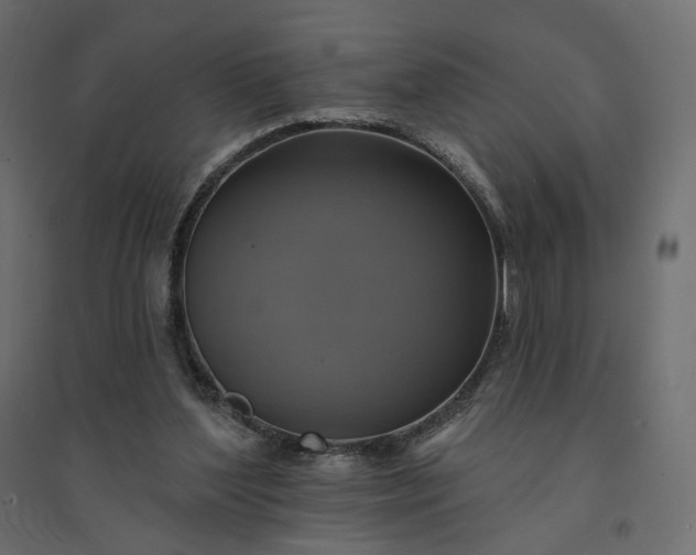 X0000094420204200711211418