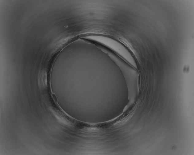 X0000094420205200711211418