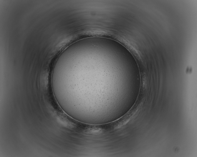 X0000094420206200711211418