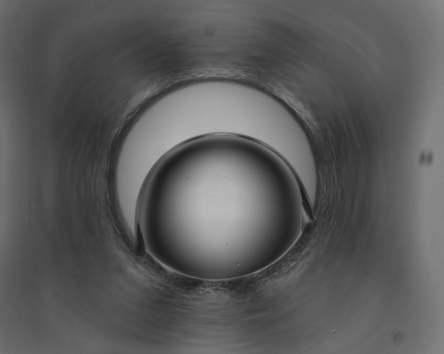 X0000094420207200711211418