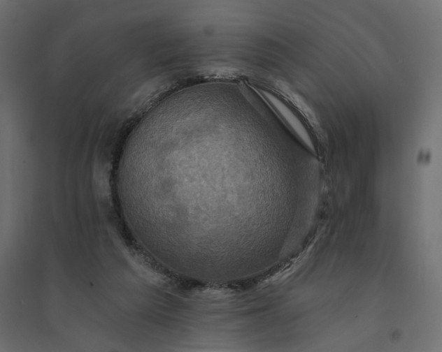 X0000094420209200711211418