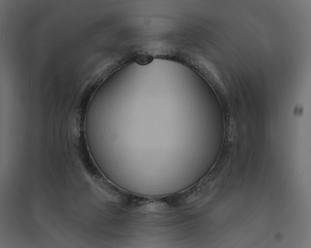 X0000094420210200711211418