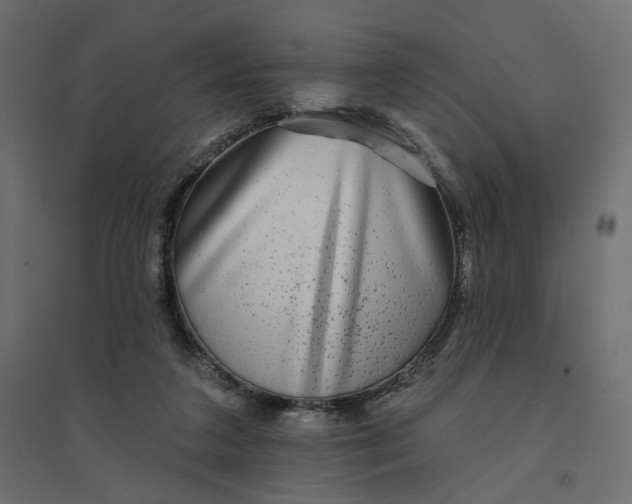 X0000094420211200711211418