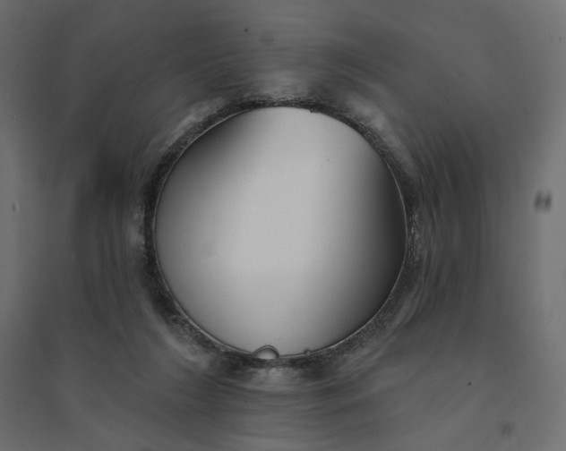 X0000094420212200711211418