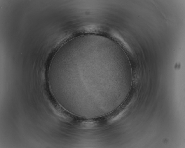 X0000094420213200711211418