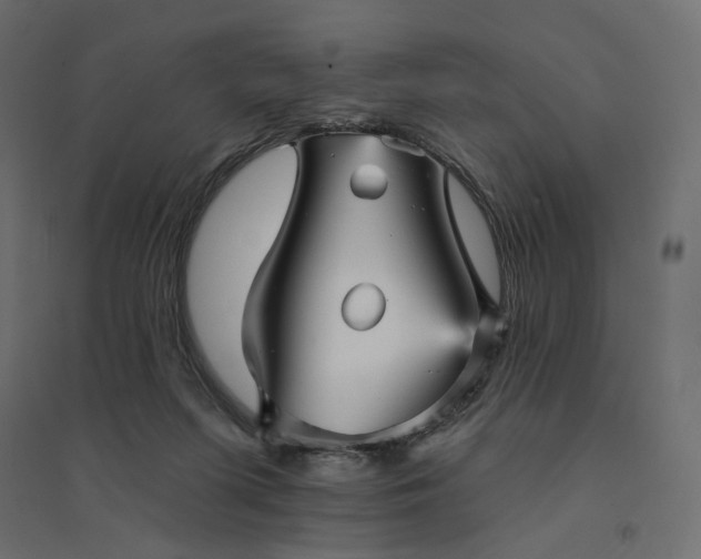 X0000094420215200711211418