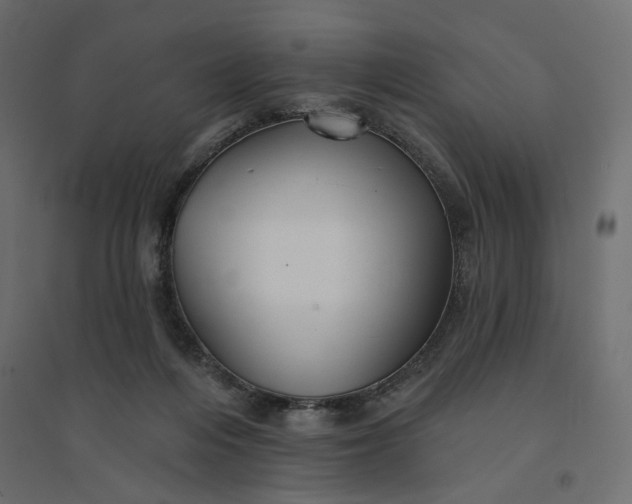 X0000094420216200711211418