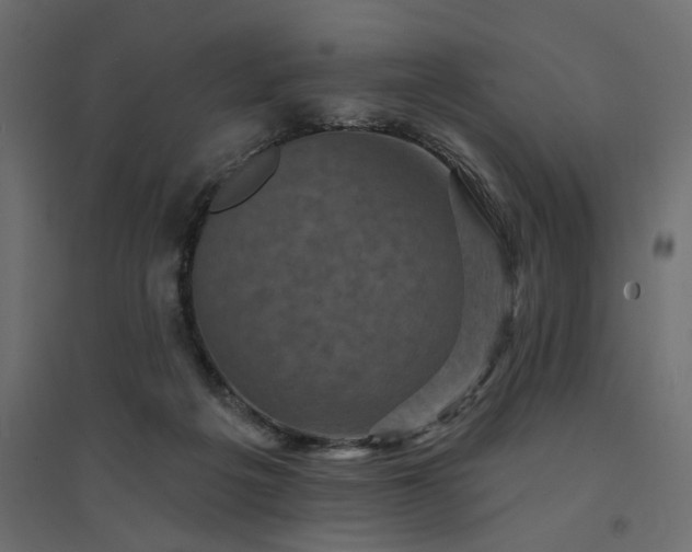 X0000094420217200711211418