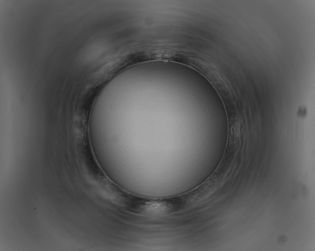 X0000094420218200711211418