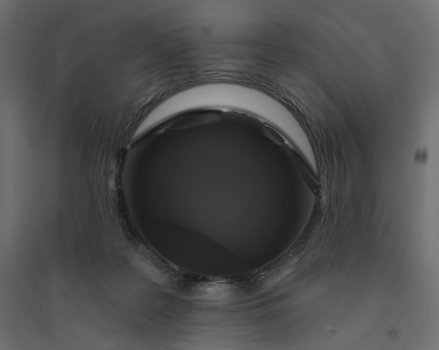 X0000094420219200711211418