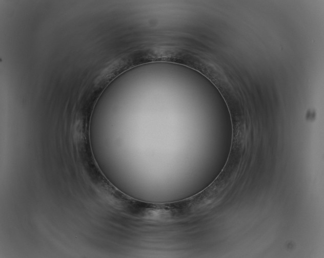 X0000094420220200711211418