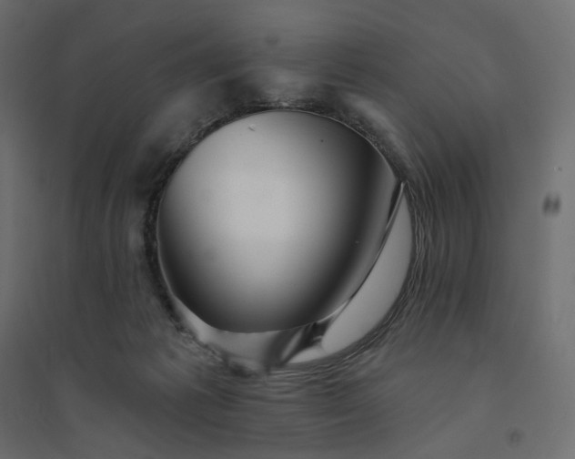 X0000094420221200711211418