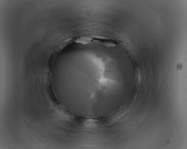 X0000094420222200711211417