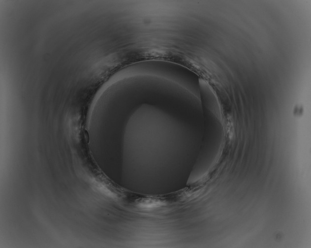 X0000094420223200711211417