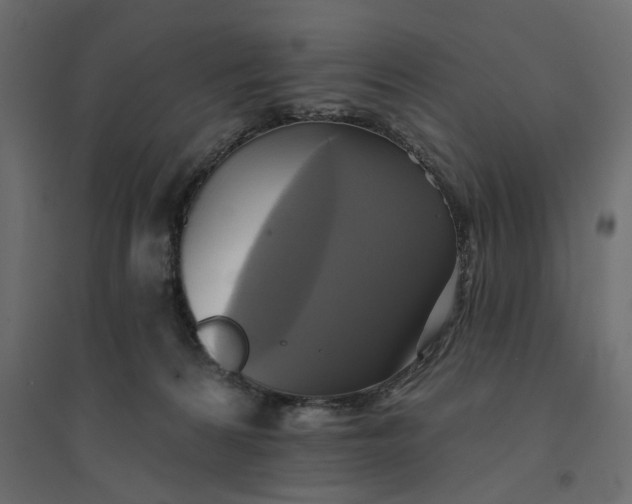 X0000094420224200711211417