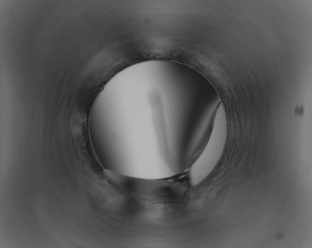 X0000094420225200711211417