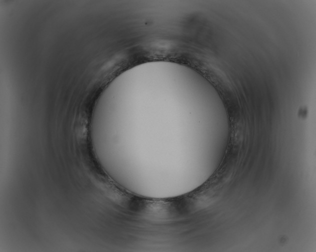 X0000094420226200711211417