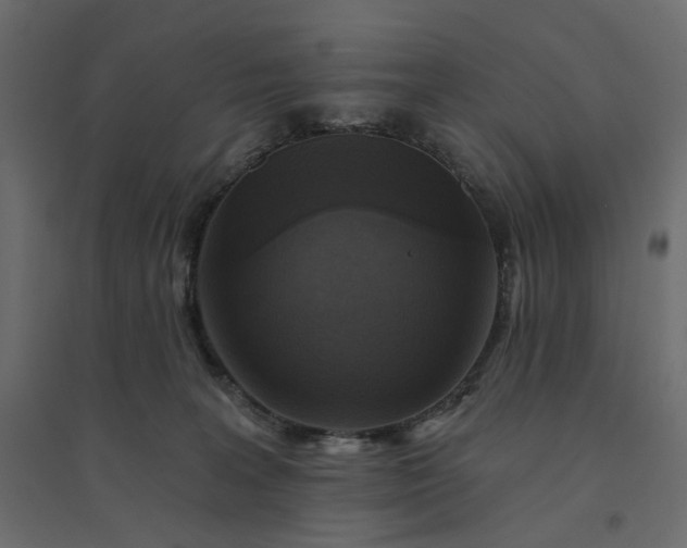 X0000094420227200711211417