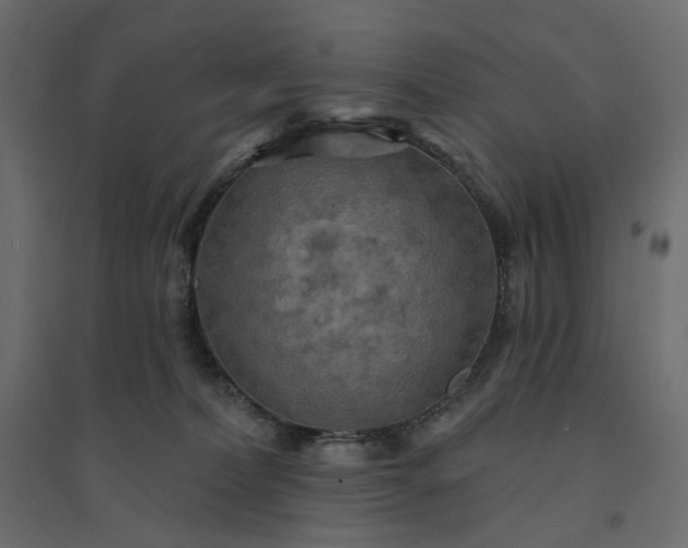 X0000094420228200711211417