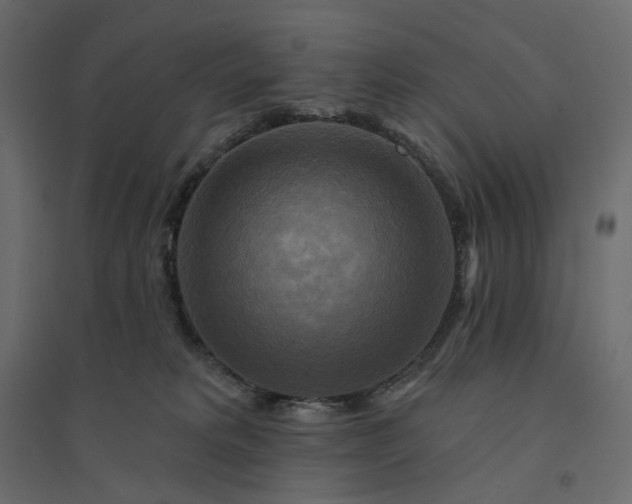 X0000094420229200711211417