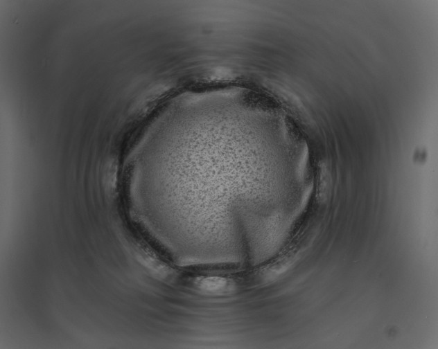 X0000094420230200711211417