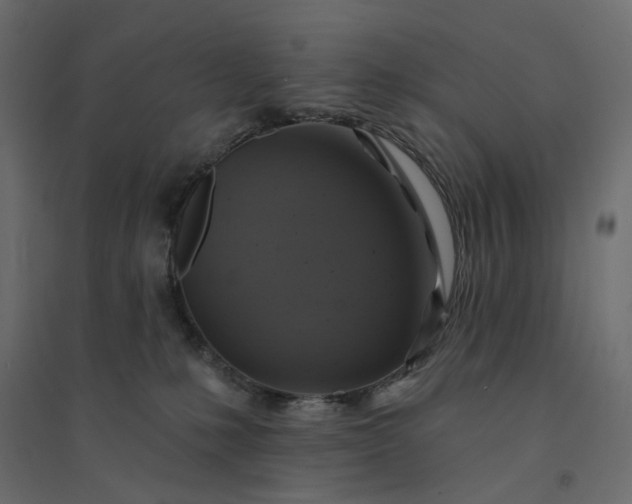 X0000094420231200711211417