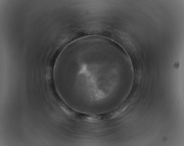 X0000094420232200711211417