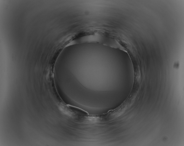 X0000094420233200711211417