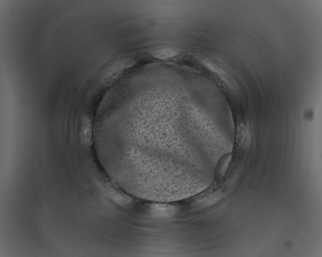 X0000094420234200711211417