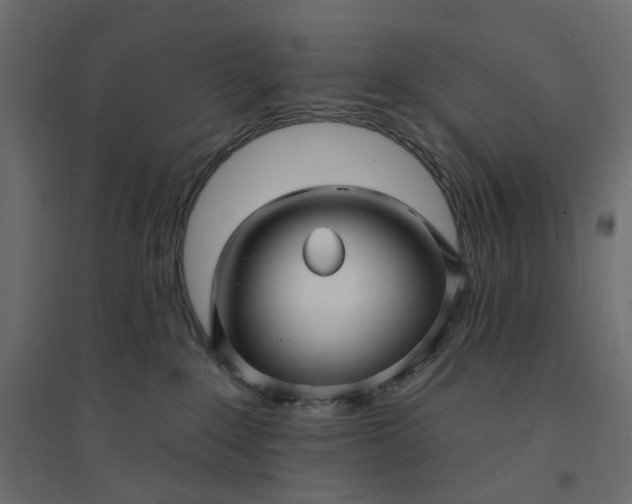 X0000094420235200711211417