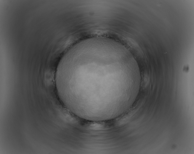 X0000094420236200711211417