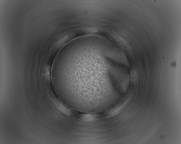 X0000094420238200711211417