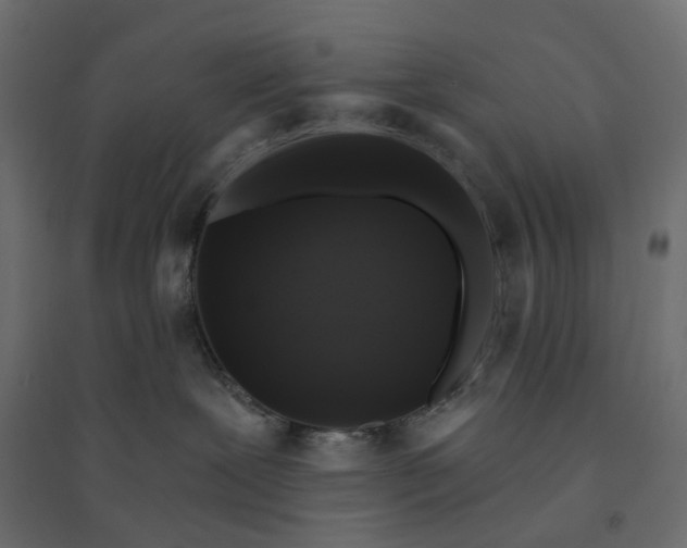 X0000094420239200711211417