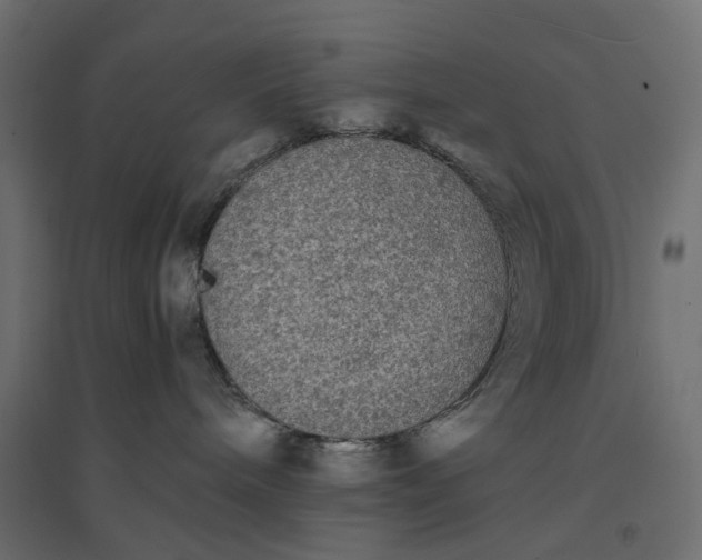X0000094420240200711211417
