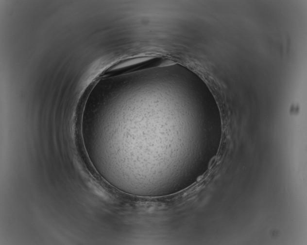 X0000094420242200711211417