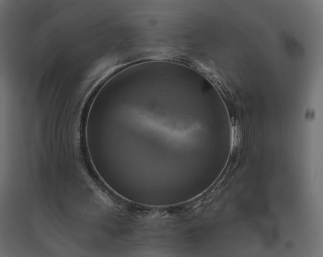 X0000094420243200711211417