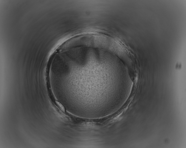 X0000094420244200711211417