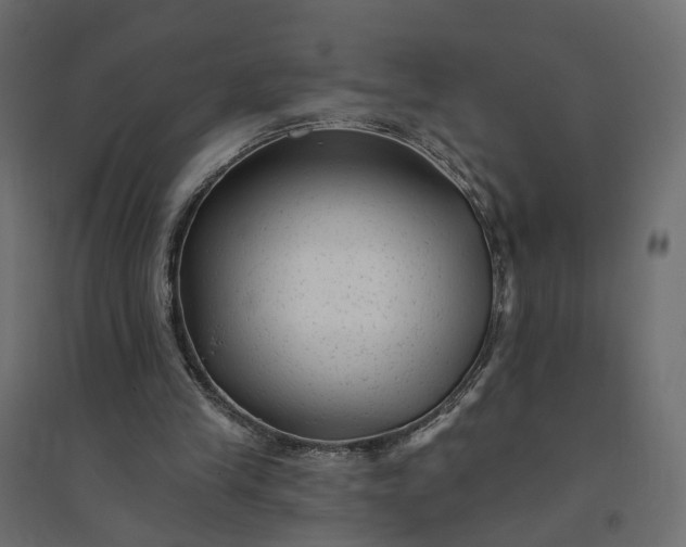X0000094420245200711211417