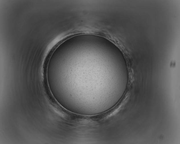X0000094420246200711211417