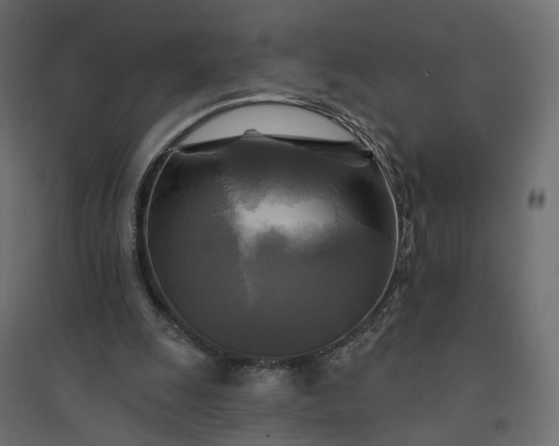 X0000094420247200711211417