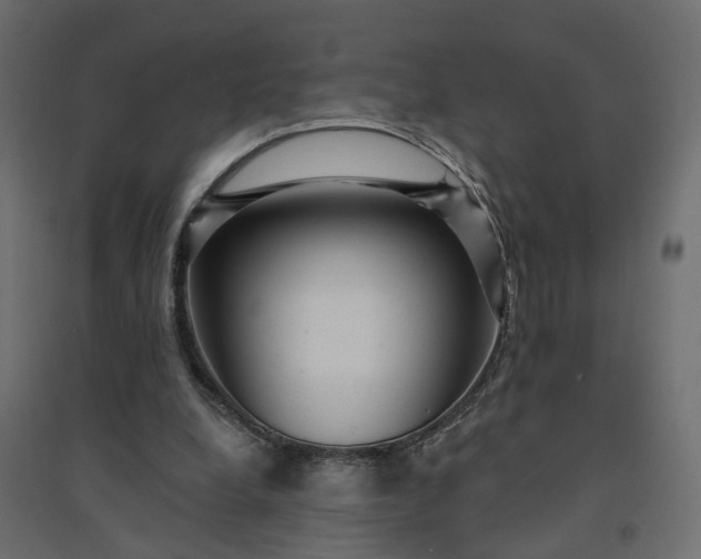 X0000094420248200711211417