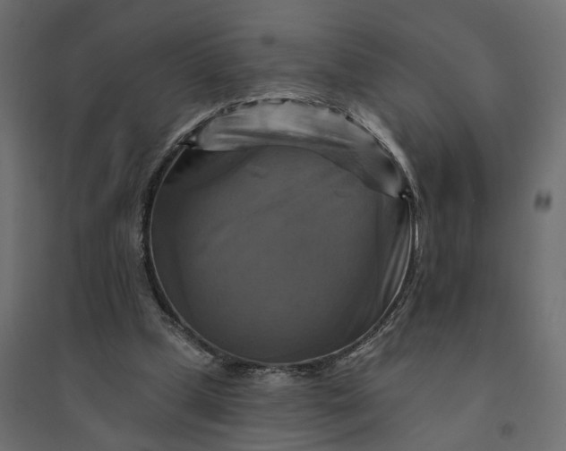 X0000094420249200711211417
