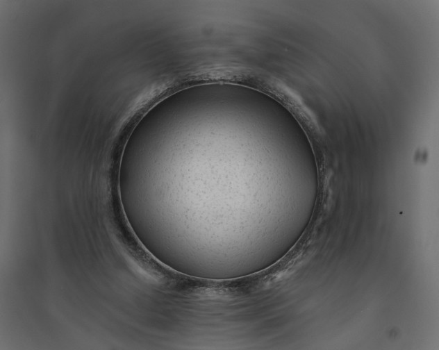 X0000094420250200711211417