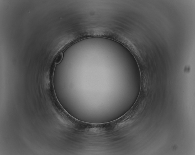 X0000094420251200711211417