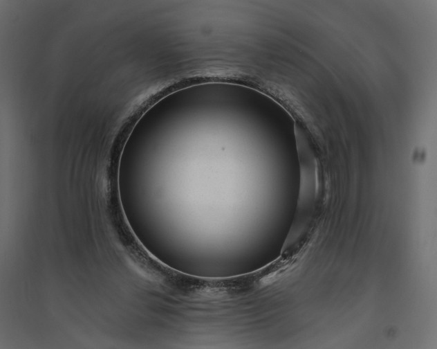 X0000094420252200711211417