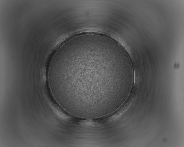 X0000094420253200711211417