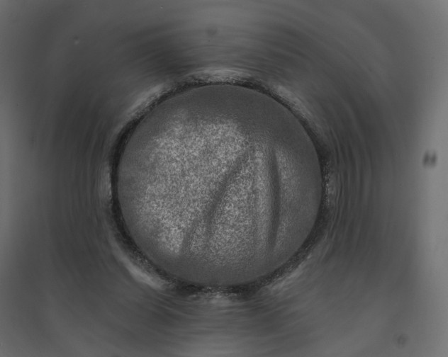 X0000094420254200711211417