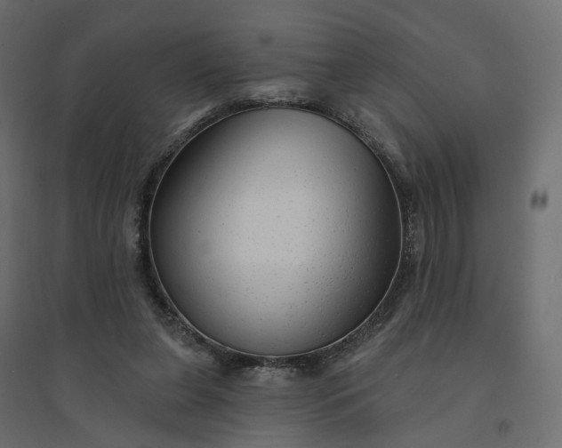 X0000094420255200711211417